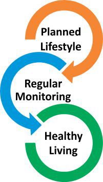 wheel of healthy life